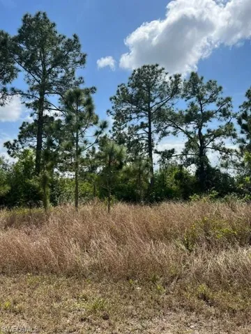 402 Genoa AVE S, LEHIGH ACRES FL 33974