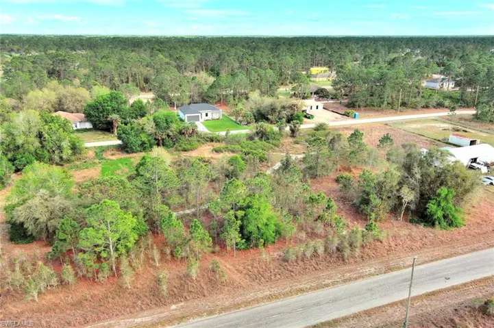 Drone / aerial view of a forest