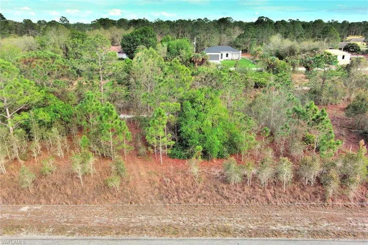 Bird's eye view of a forest