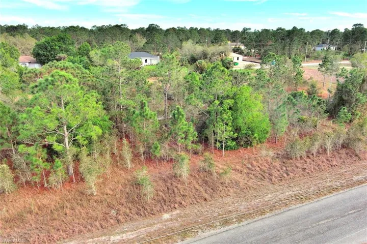 Bird's eye view of a heavily wooded area