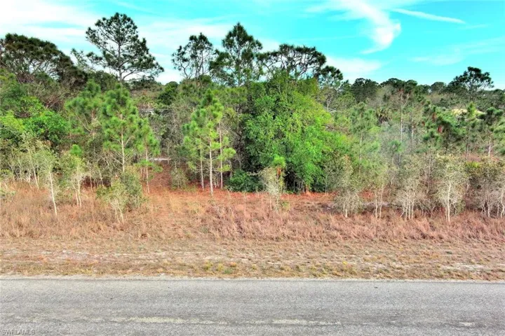 View of asphalt road featuring a wooded view