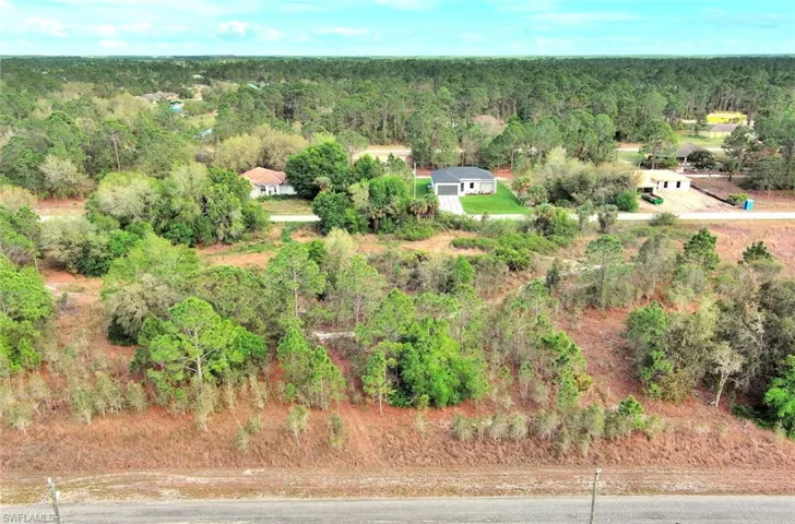 Bird's eye view of a forest