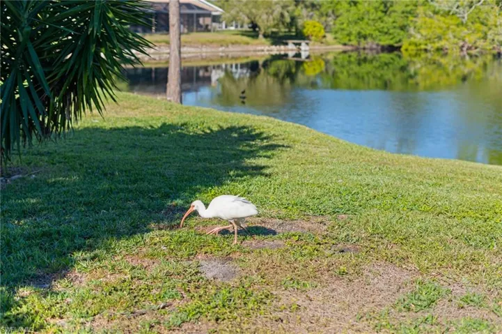 View of yard featuring a water view