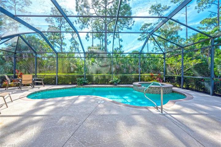 Pool and Spa