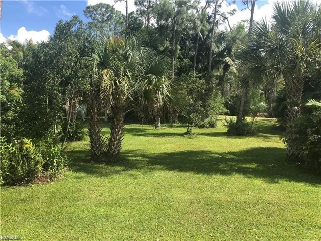 View of green lawn