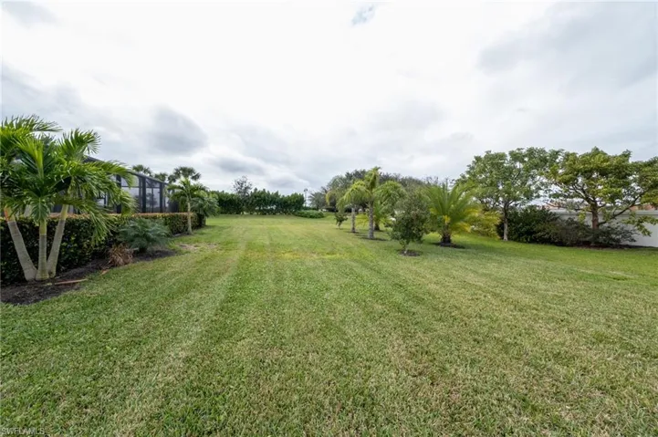 View of backyard landscaping