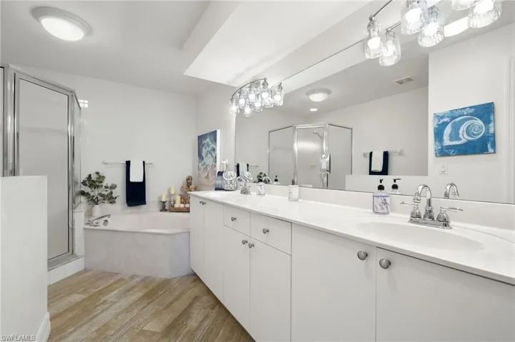 Bathroom with separate shower and tub, hardwood / wood-style floors, and double vanity