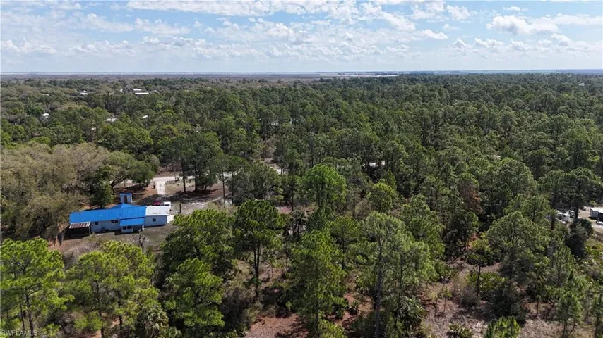 Bird's eye view of a heavily wooded area