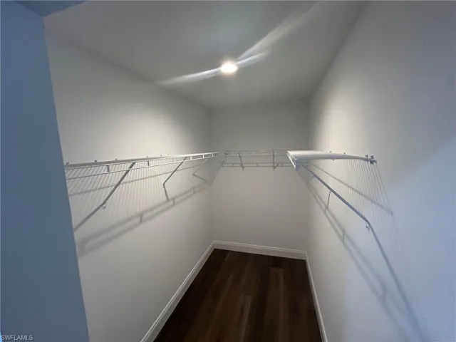 Spacious closet with hardwood / wood-style flooring