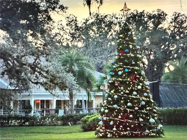 Verandah's Christmas tree