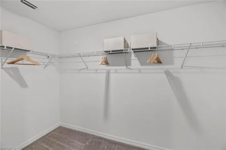 Spacious closet with carpet