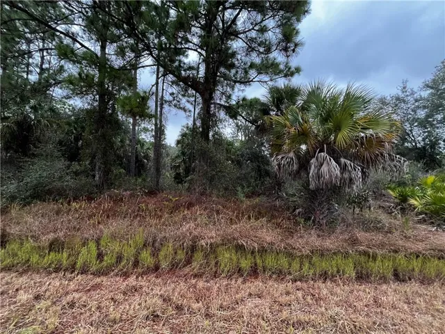 View of property from roadway