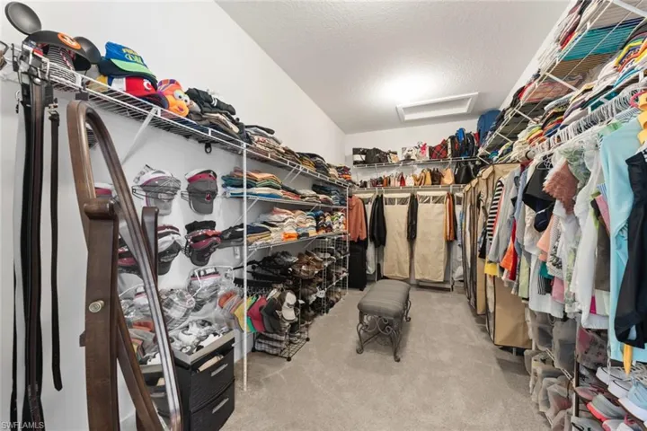 Spacious closet featuring attic access and carpet