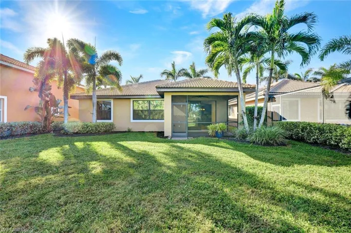 View of back yard