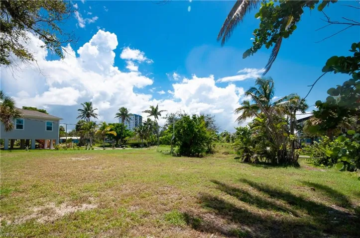 View of grassy yard