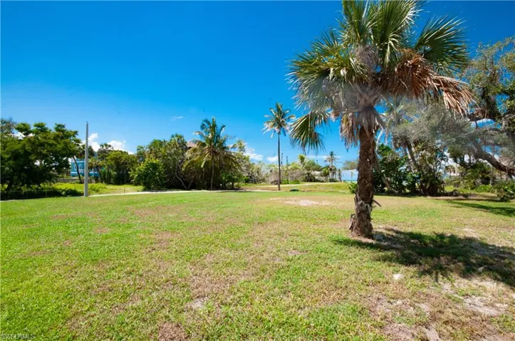 View of green lawn