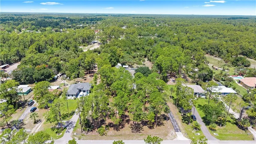 Expansive wooded property featuring mature trees and a residential street