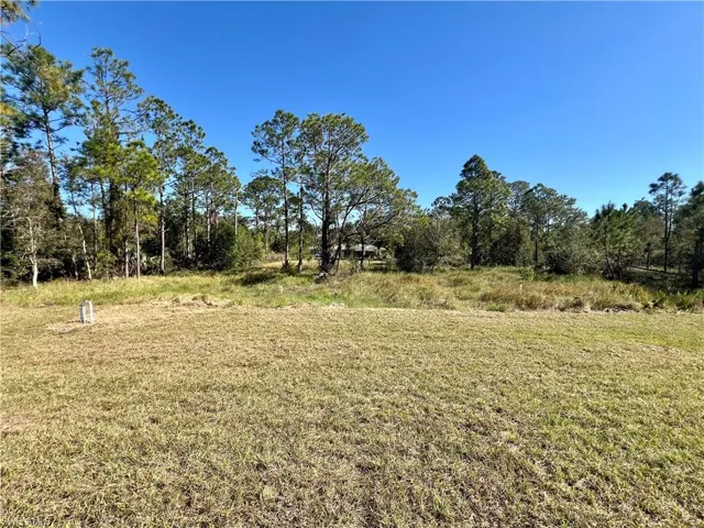 View of backyard on a HALF ACRE LOT