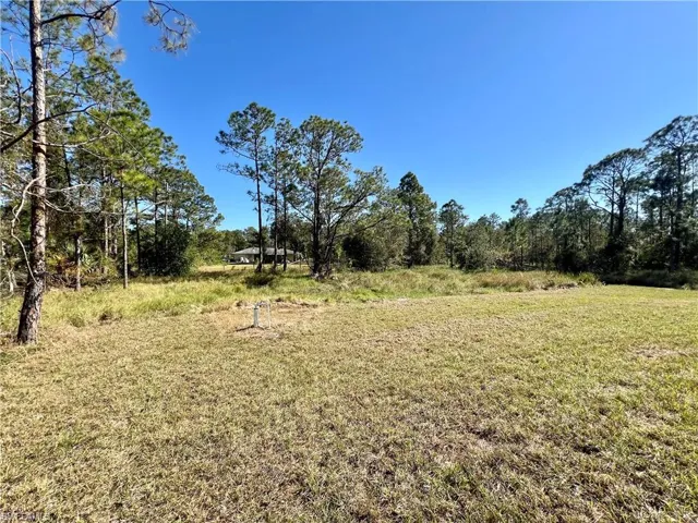 View of backyard on a HALF ACRE LOT