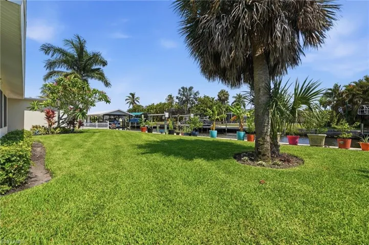 Expansive green lawn with established palm trees and tropical landscaping