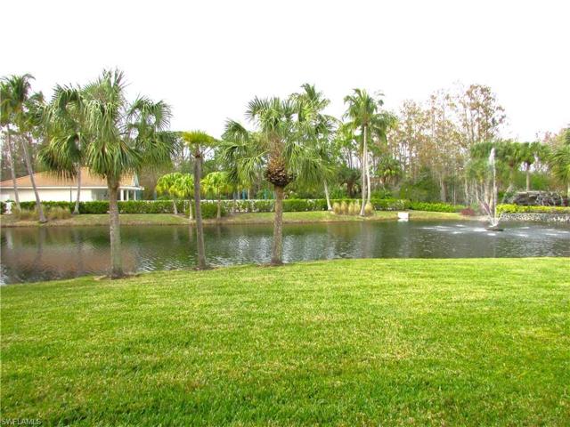 POND VIEW