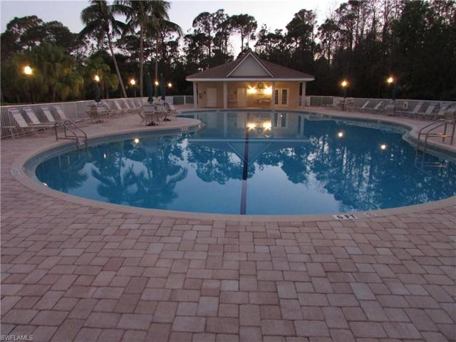 COMMUNITY POOL NITETIME