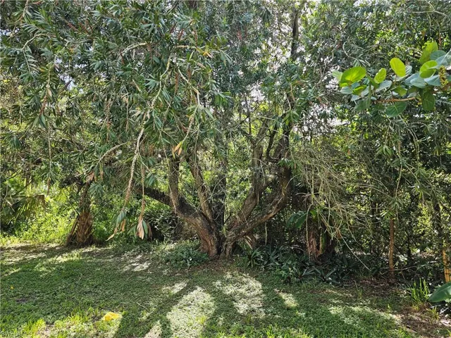 1079 Indian Mound Road (lots 15 & 16), Moore Haven, FL 33971, Intercoastal Waterway Access, over 400’ water frontage