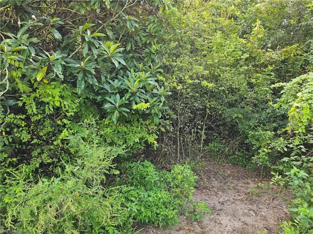 1079 Indian Mound Road (lots 15 & 16), Moore Haven, FL 33971, Intercoastal Waterway Access, over 400’ water frontage