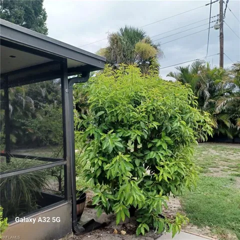 2324 Caladium Rd, Fort Myers, Florida 33905