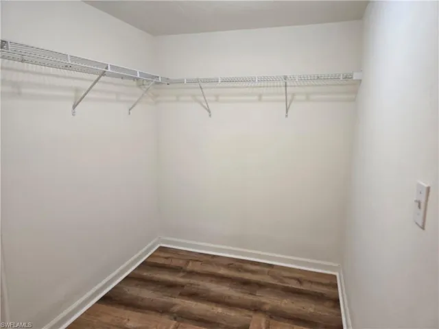 Spacious closet featuring wood-type flooring