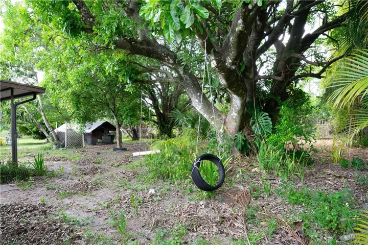 Back Yard.