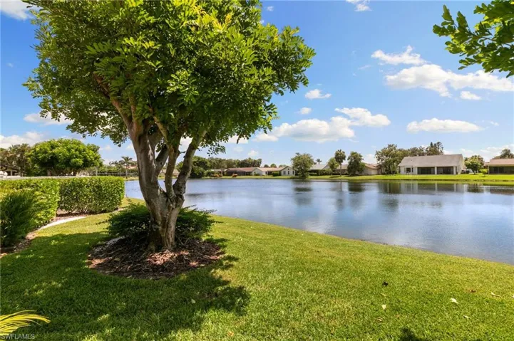 Water view