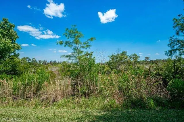 2531  Sawgrass Lake  CT, Cape Coral, FL 33909