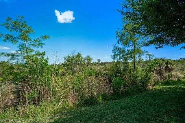 2531  Sawgrass Lake  CT, Cape Coral, FL 33909
