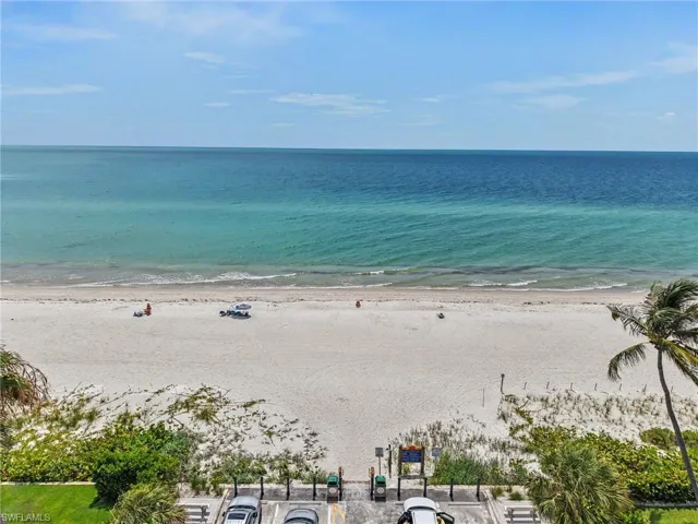 Direct beach access from a white sand shoreline, bordered by natural dune vegetation and a single palm tree