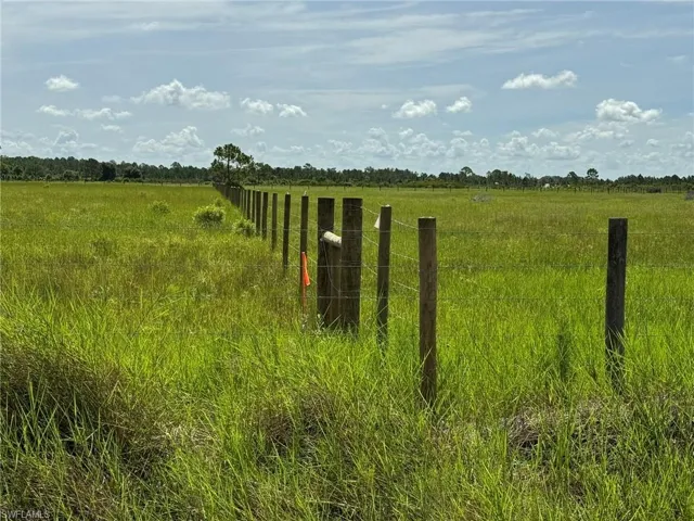 View of local wilderness featuring a rural view
