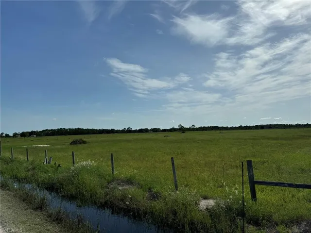 HIGH & DRY- middle of summer drainage works well