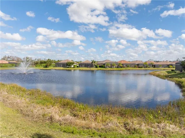 Backyard Water View