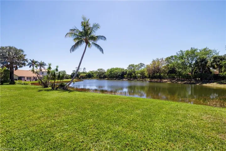 Water view