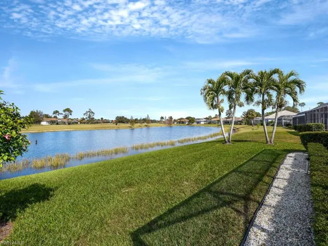 Peaceful Lake View