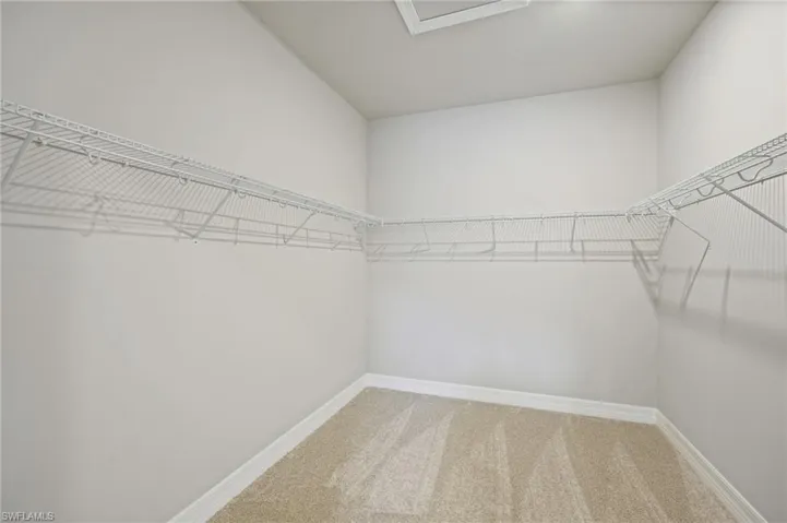 Walk in closet with carpet floors