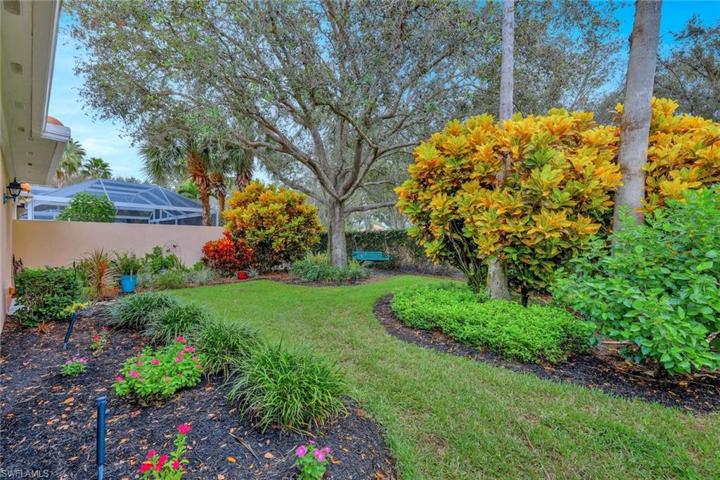 Back yard...