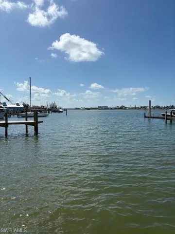 Water view with a dock