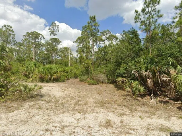 View of local wilderness