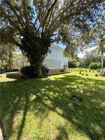 Side Yard