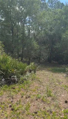 View of undeveloped land