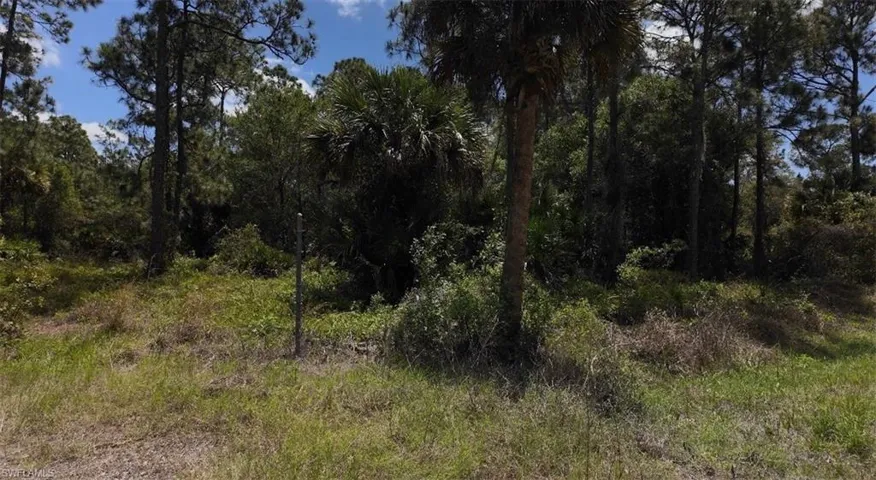 View of undeveloped land