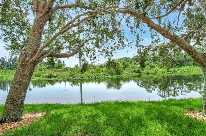 Stunning lake view