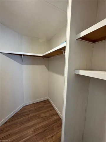 Spacious closet featuring dark wood-style flooring