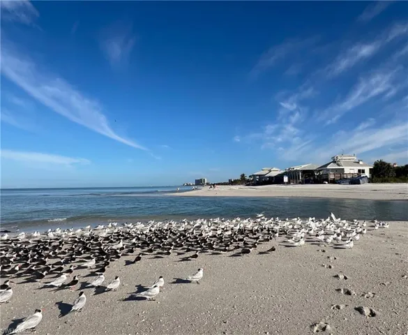 619  Beachwalk  CIR, Naples, FL 34108